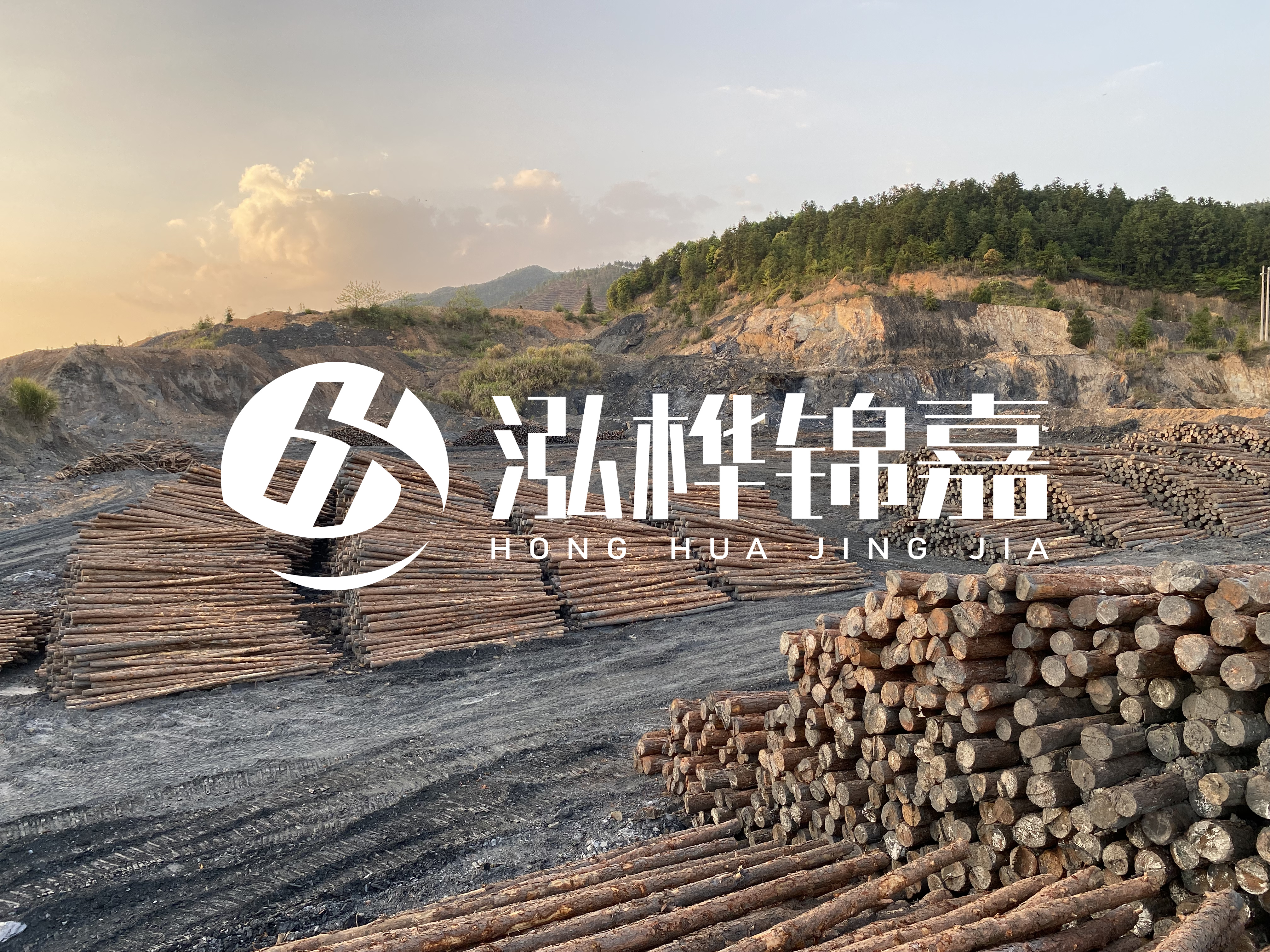 松木樁地基承載力怎么檢測(cè)？