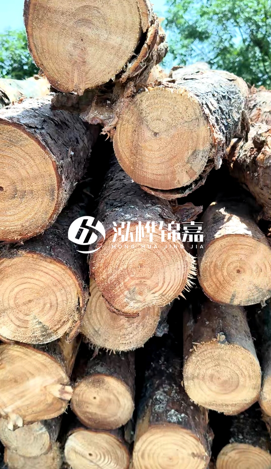 周口挖機(jī)打木樁專業(yè)施工-杉木樁施工打樁怎么打？