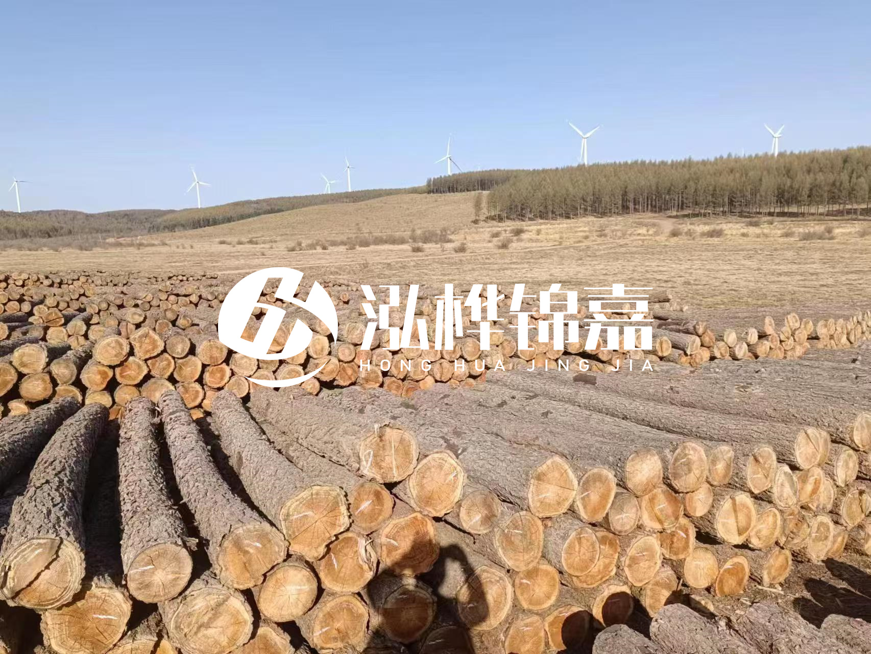 咸寧松木樁源頭廠家-哪里能買(mǎi)到質(zhì)量好的松木樁打樁木？