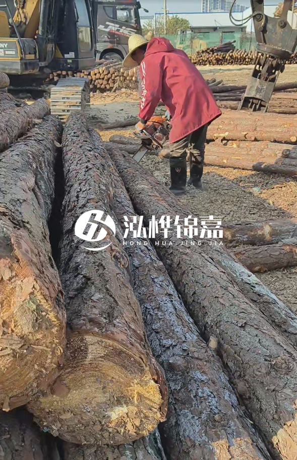 長(zhǎng)沙打樁木批發(fā)廠家在哪里？聯(lián)系方式是什么？