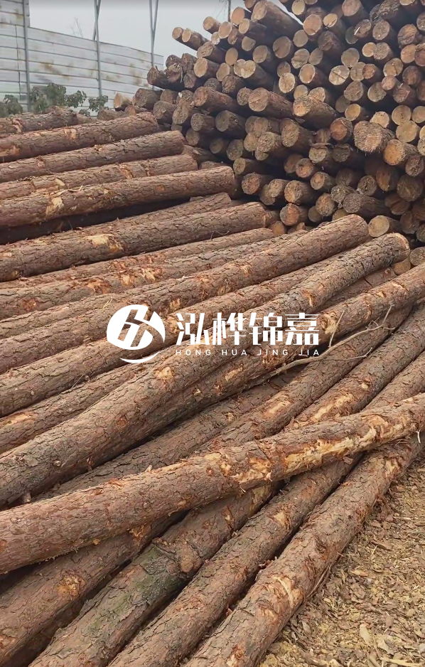 山西河道木樁護(hù)岸價(jià)格多少錢一米-每米河道打樁要花多少錢？