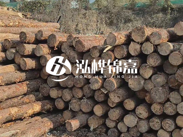 落葉松木材的主要產(chǎn)地在哪里？為什么比其他松木更耐腐蝕？