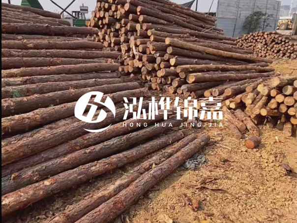 河道木樁施工遇到淤泥怎么辦？打多深才能防沖刷？