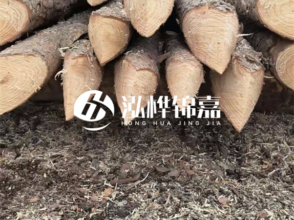 打樁木樁與鋼樁相比有哪些優(yōu)缺點(diǎn)？如何進(jìn)行后期維護(hù)？
