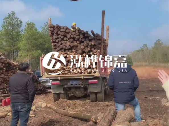 松木樁價格是按米算還是按根算？6米松木樁批發(fā)價每根多少錢？