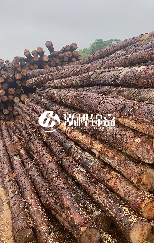 購(gòu)買松木樁注意事項(xiàng)有哪些-不同直徑松木樁區(qū)別有哪些？