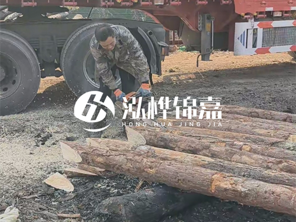 松木圓木價格大概多少一方-松木樁廠家按方可以賣嗎？