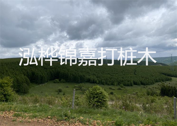 松木樁能重復(fù)施工么？