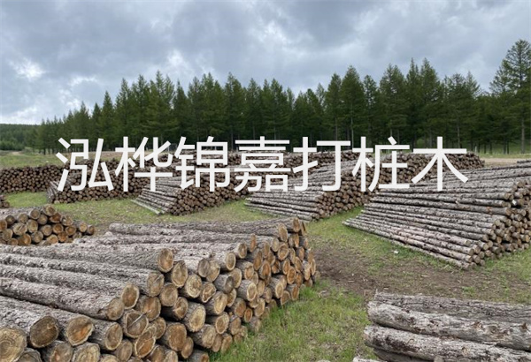 預制松木樁施工工藝：優(yōu)質材料，高效快速，堅固耐用