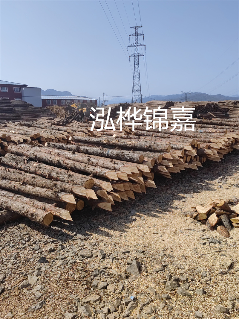 深入了解松木樁基礎(chǔ)施工單價，助力工程建設(shè)順利進(jìn)行！