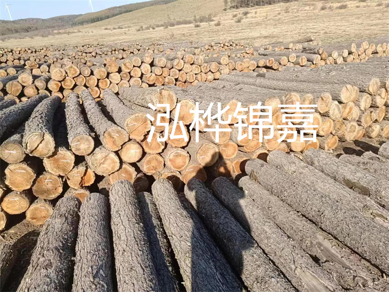 鹽城松木樁河道圍堰施工，保護生態(tài)環(huán)境，打造美麗城市