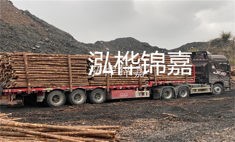 云南哪里有松木樁？實(shí)用指南，助您選購(gòu)優(yōu)質(zhì)木材！