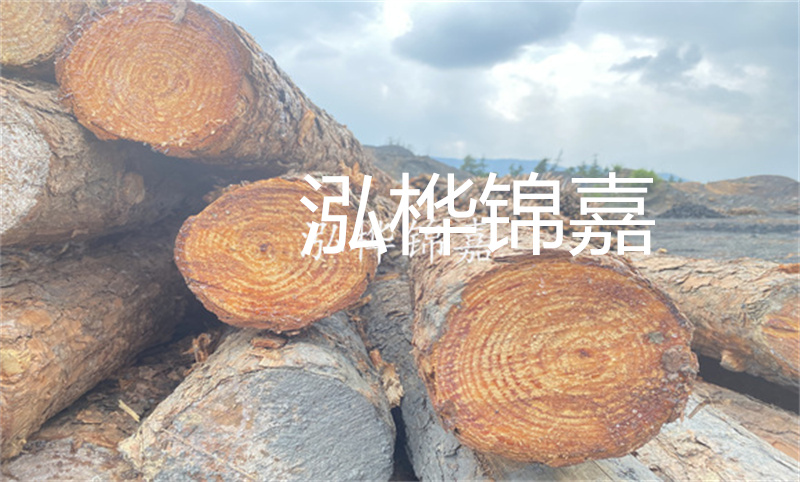 如何在東莞找到最實(shí)惠的松木樁？