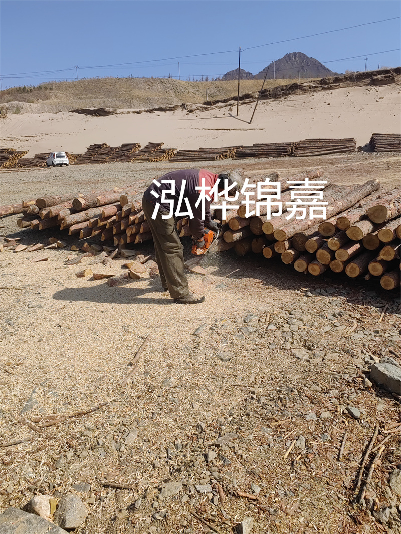 松木樁哪里有賣？挑選松木樁要注意什么？